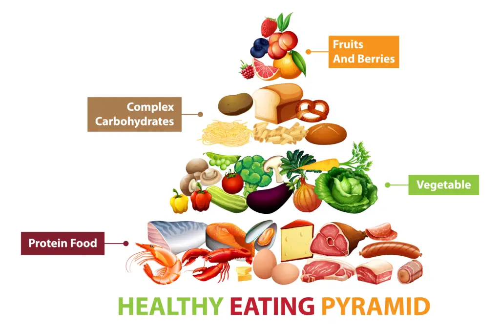 Colorful balanced meal plate with vegetables and lean protein